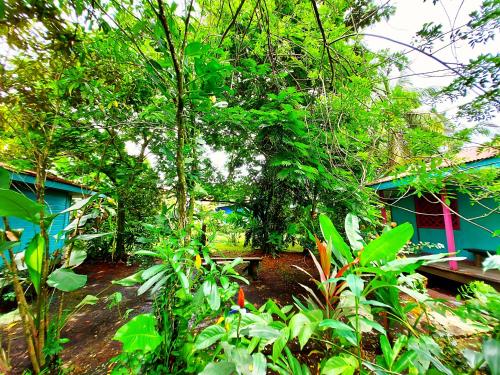 cabinas tortuguero