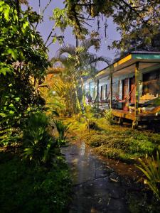cabinas tortuguero
