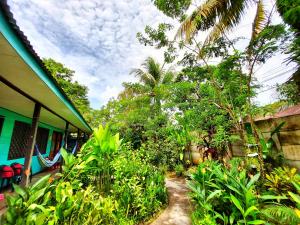 cabinas tortuguero