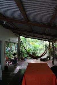 cabinas tortuguero