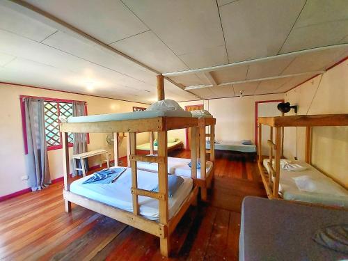 cabinas tortuguero