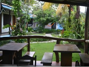 cabinas tortuguero