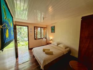 cabinas tortuguero