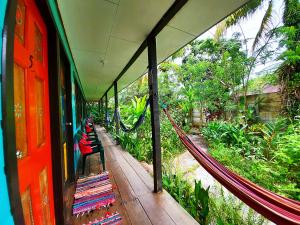 cabinas tortuguero