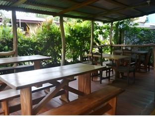cabinas tortuguero