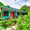cabinas tortuguero