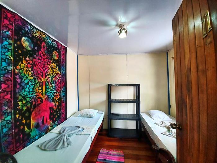cabinas tortuguero