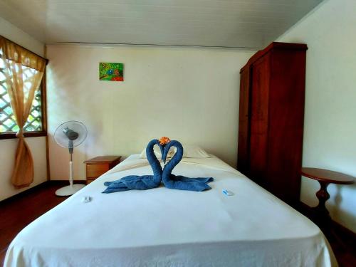 cabinas tortuguero