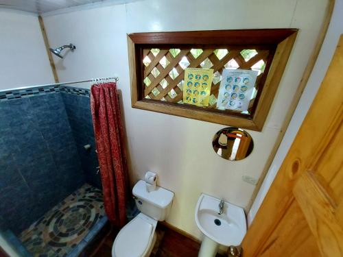 cabinas tortuguero