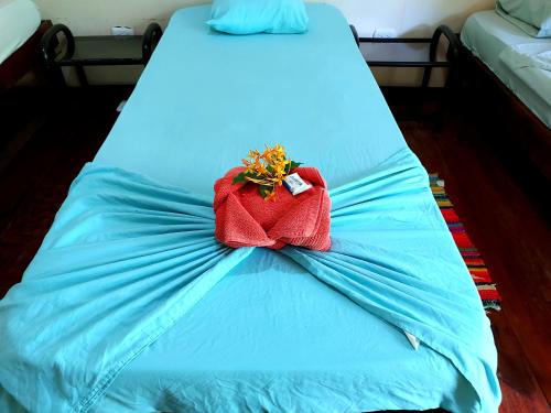 cabinas tortuguero