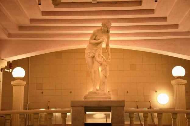 tamana onsen hotel shirasagi