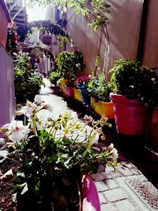 lo nardo accommodation