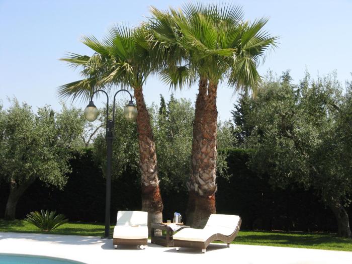 bandb villa vittoria