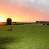 wisbech