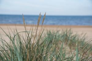 mellbystrands vandrarhem and stugor solstickan