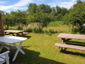 mellbystrands vandrarhem and stugor solstickan