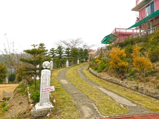 shimla