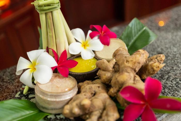 mekongview 1 condotel