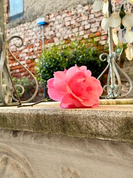 cernusco sul naviglio