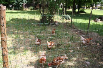 les roulottes de la champagne campground