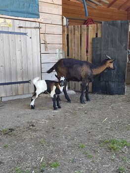 les roulottes de la champagne campground