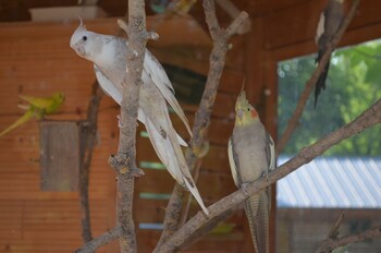 les roulottes de la champagne campground