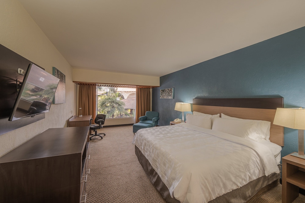 holiday inn guadalajara expo by ihg
