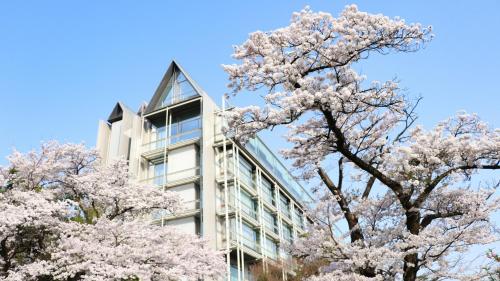 chugoku kappo ryokan kikusuitei