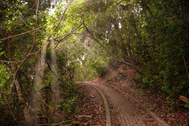 sutera sanctuary lodges at manukan island
