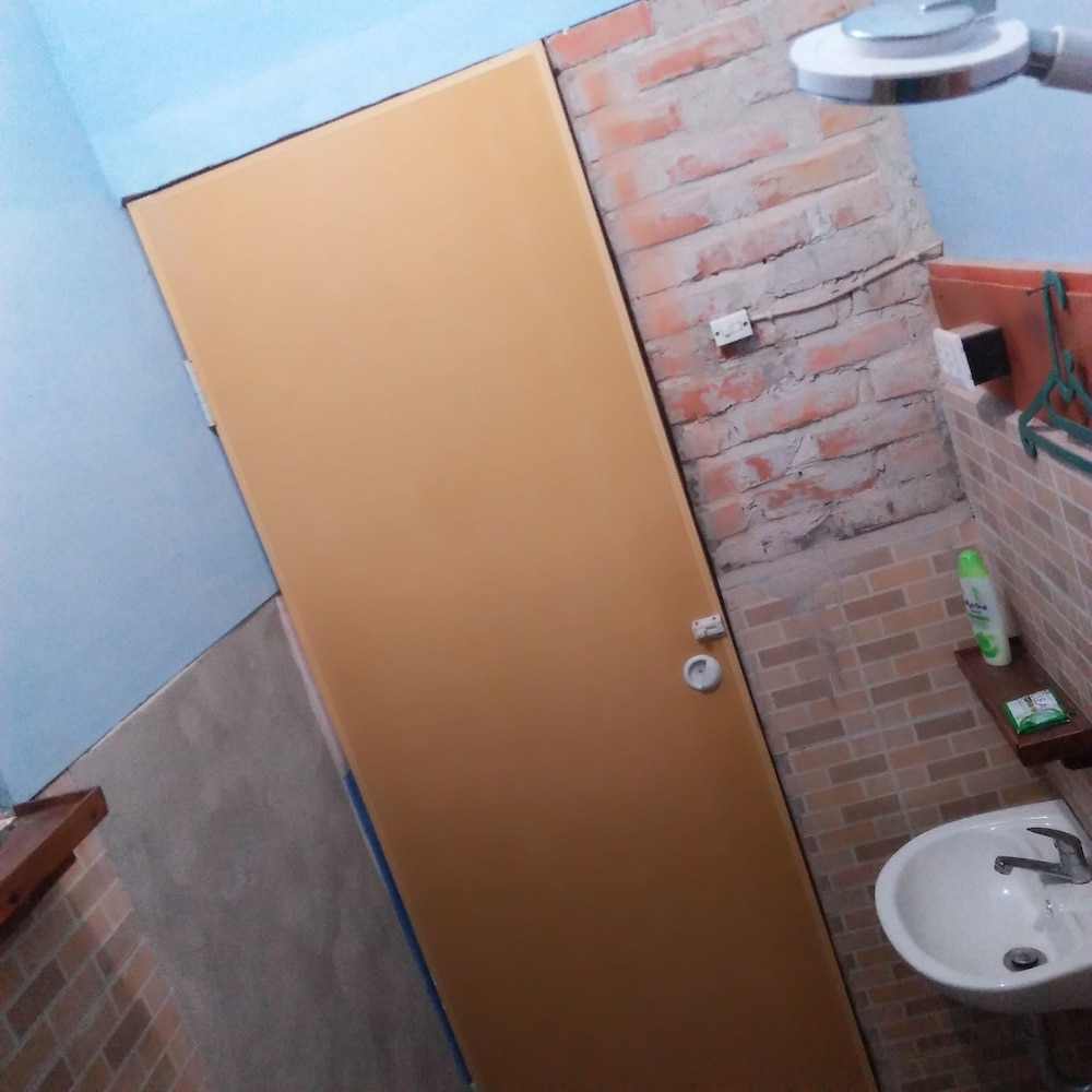 salty dog hostel