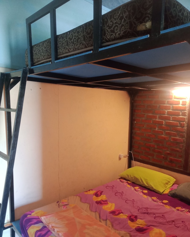 salty dog hostel