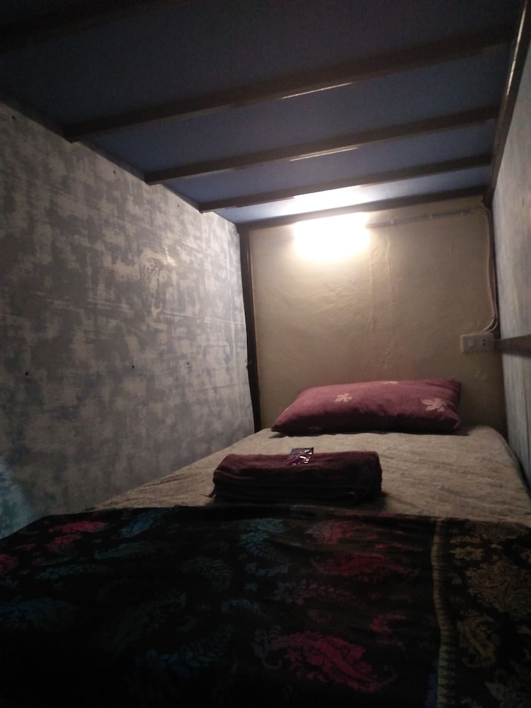 salty dog hostel