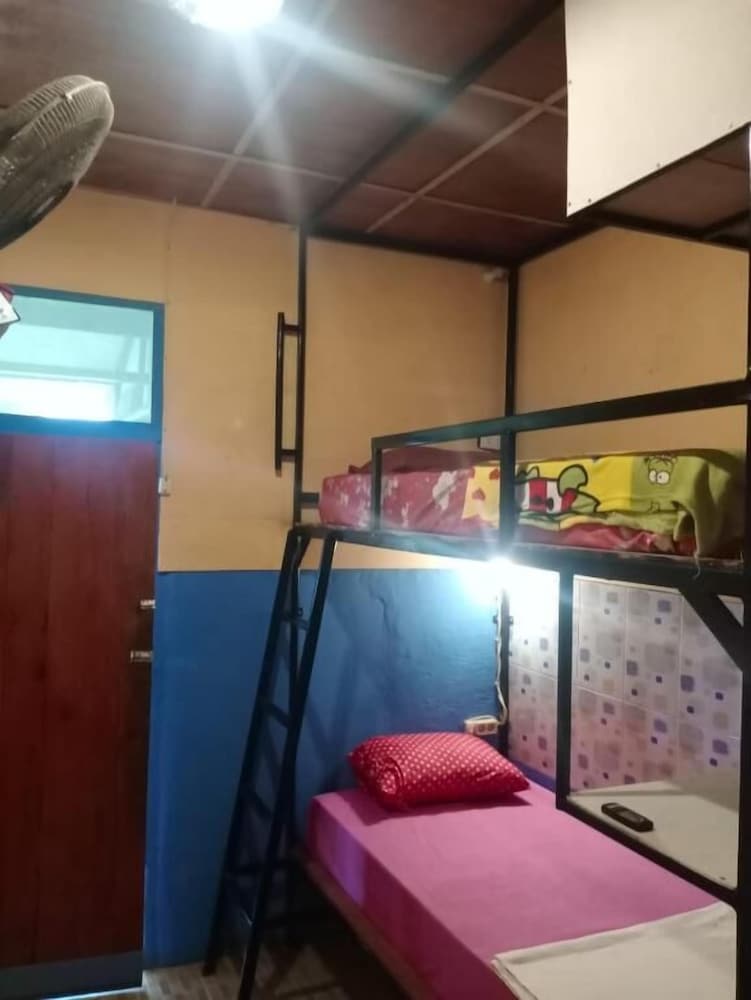 salty dog hostel