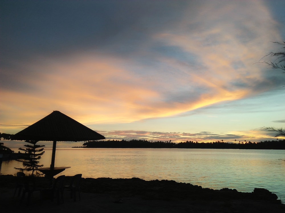 salty dog hostel