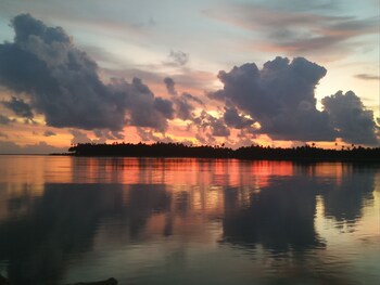 salty dog hostel