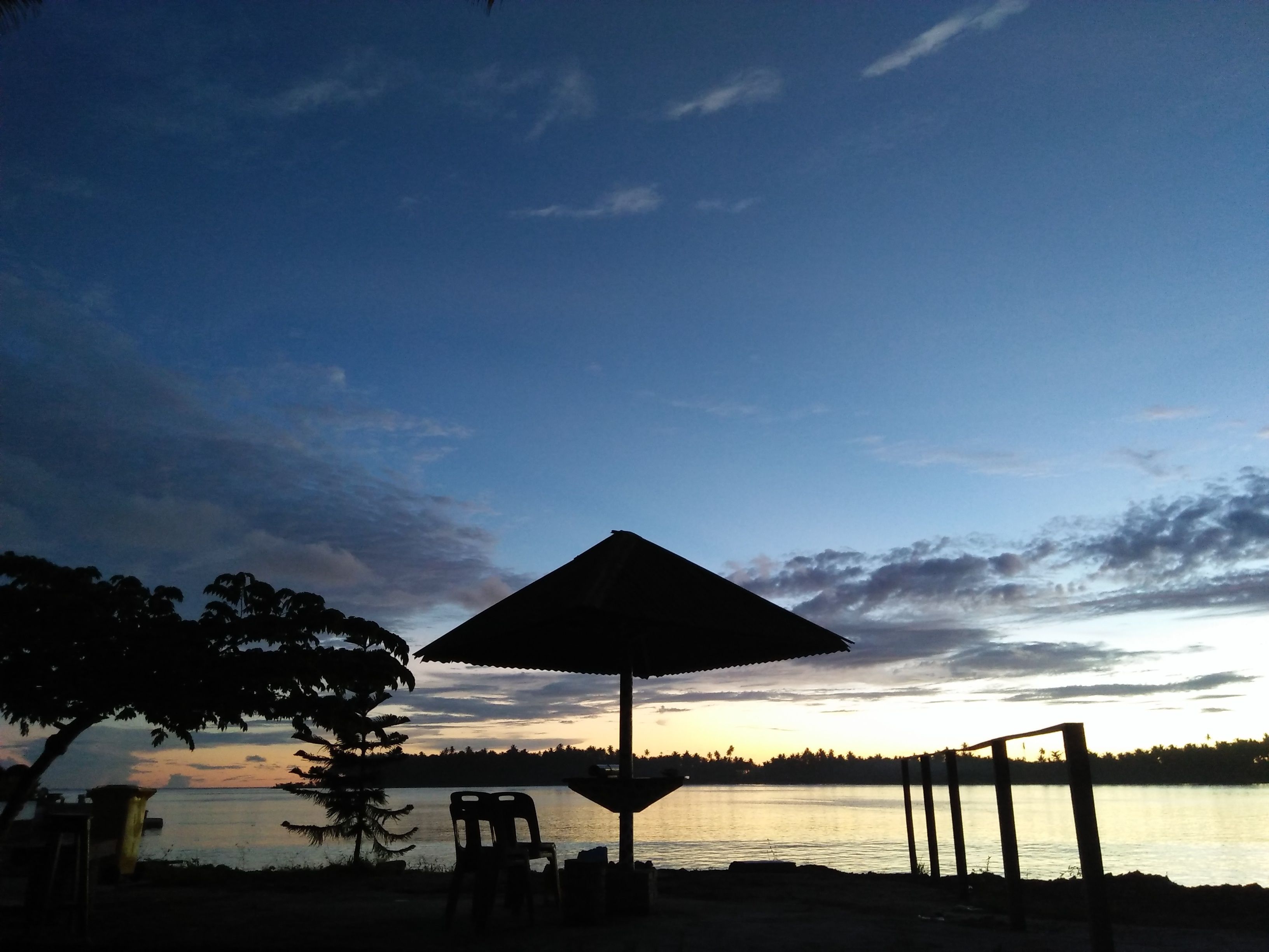 salty dog hostel