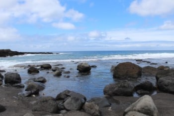 Tanna Ikamir Bungalows And Accomodations,,2 star