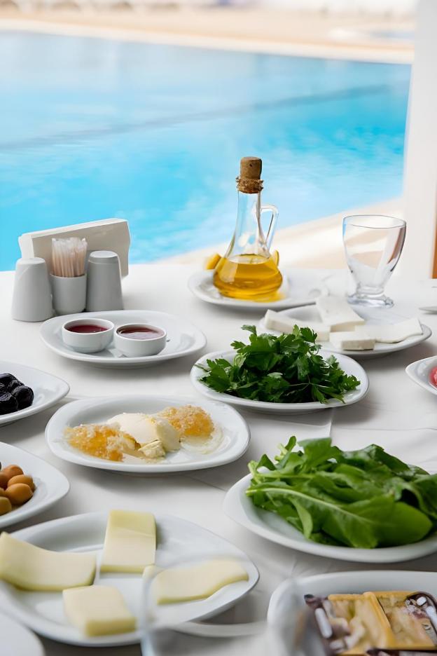 premier vista hotel silivri