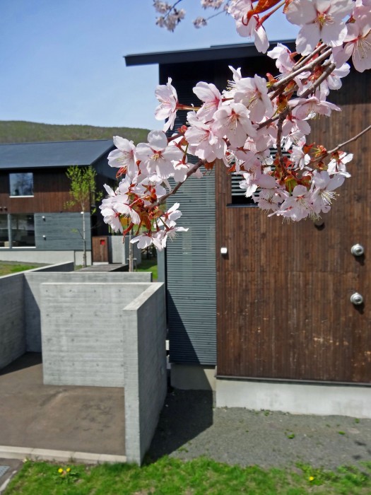 niseko hirafu izumikyo rental cottage