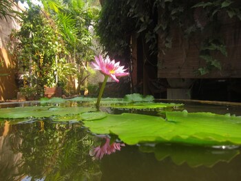 veyangoda