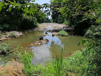 silent bungalow river side
