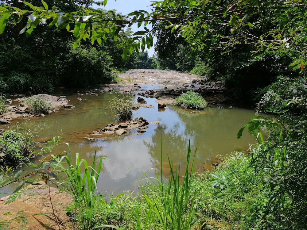 silent bungalow river side