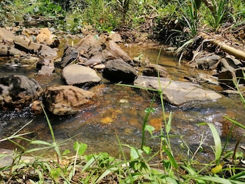 silent bungalow river side
