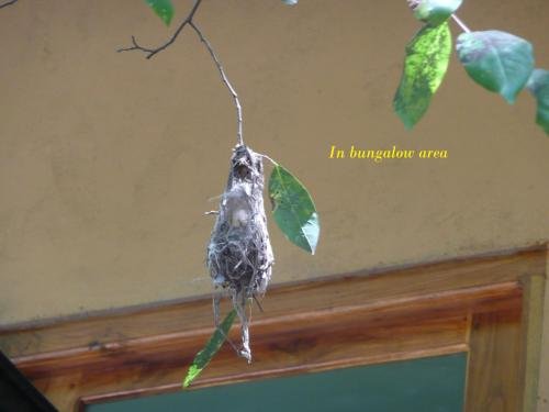 silent bungalow river side