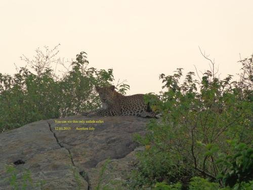 silent bungalow river side