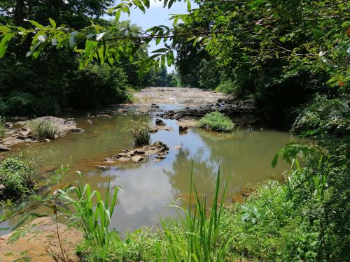 silent bungalow river side