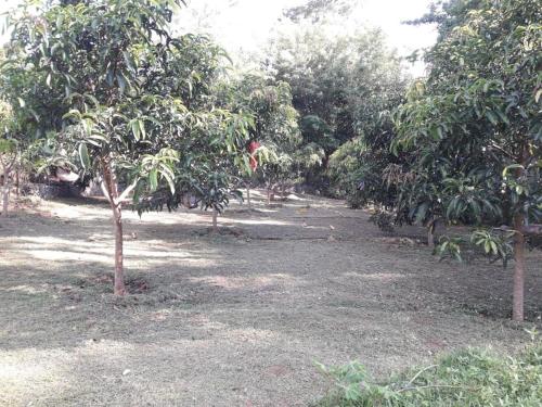 silent bungalow river side