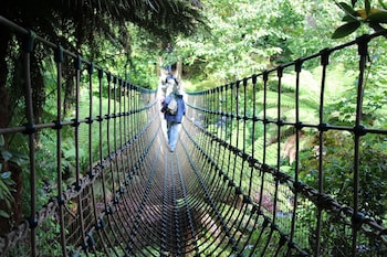 trewhiddle cottage 42