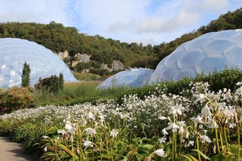 trewhiddle cottage 42