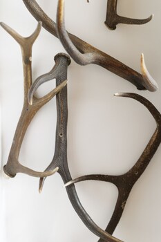 Hotel Restaurant Rodizio Paderborn,,2 star